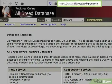 Imagen titulada Research a Horse's Bloodline Step 1