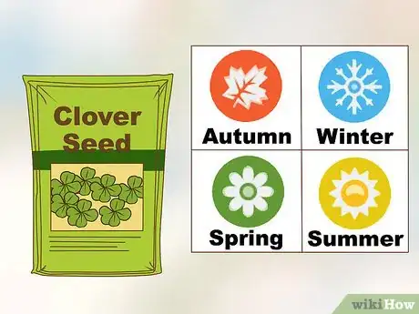 Imagen titulada Grow a Clover Lawn Step 15