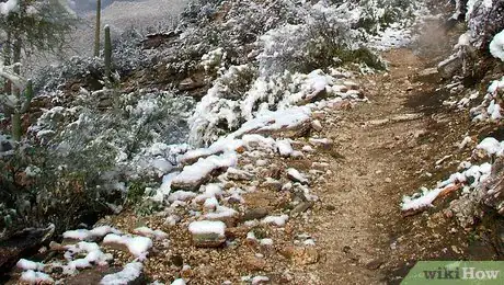 Imagen titulada Defecate Outdoors Step 10