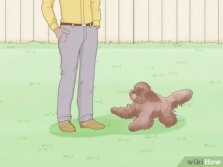 Imagen titulada Stop a Dog from Humping Step 6
