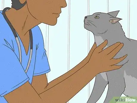 Imagen titulada Tell if a Cat Has a Sore Throat Step 6