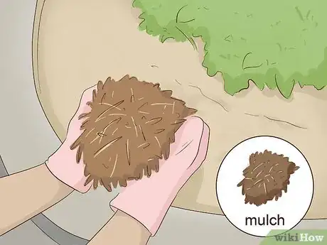Imagen titulada Create a Rain Garden Step 14.jpeg