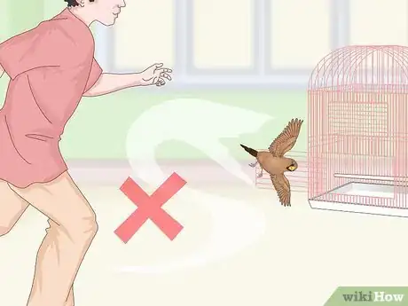 Imagen titulada Bond with Pet Finches Step 17