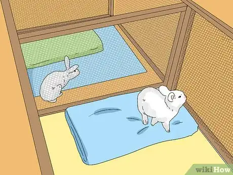 Imagen titulada Tell if Your Rabbit Has Weepy Eye Step 8