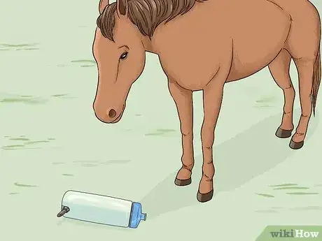 Imagen titulada Tell if a Horse Is Frightened Step 20