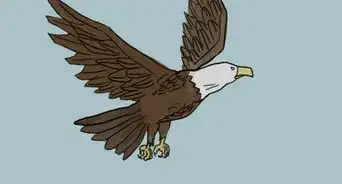 dibujar un águila