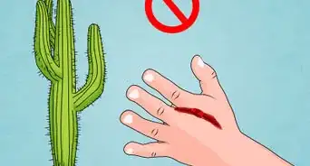 sobrevivir en el desierto
