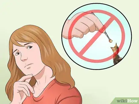 Imagen titulada Make Emergency Baby Bird Food Step 11