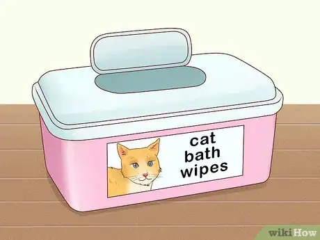 Imagen titulada Bathe a Cat Without Water Step 1