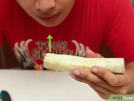 Imagen titulada Eat a Sugar Cane Step 7