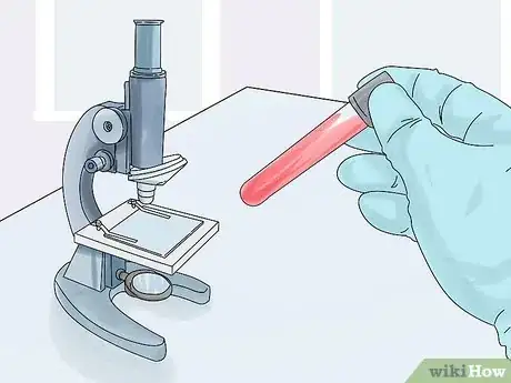 Imagen titulada Diagnose and Treat Benign Tumors in Cats Step 6