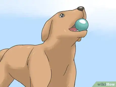 Imagen titulada Safely Sedate a Dog Step 5