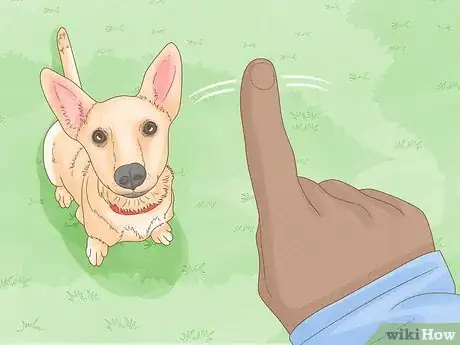Imagen titulada Stop a Dog from Humping Step 1