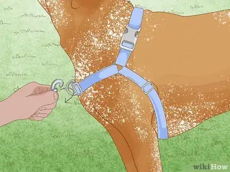 Imagen titulada Measure a Dog for a Harness Step 6
