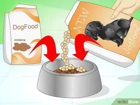 Imagen titulada Get Your Dog to Eat the Dog Food It Does Not Like Step 6