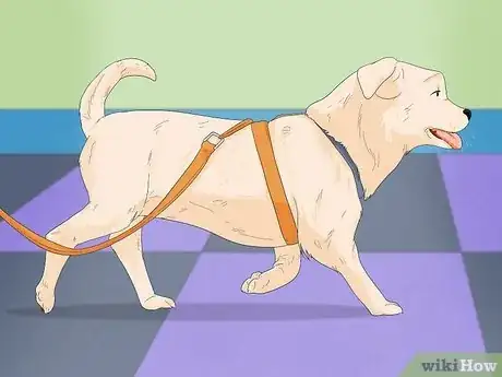 Imagen titulada Make Your Dog Stop Sleeping in Your Bed Step 6
