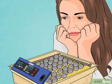 Imagen titulada Find and Take Care of Wild Bird Eggs Step 7