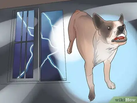 Imagen titulada Stop Howling Dogs Step 8