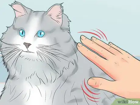 Imagen titulada Calm a Cat in Heat Step 8