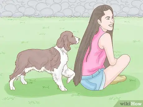 Imagen titulada Stop a Dog from Humping Step 2