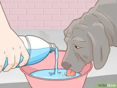 Imagen titulada Take Care of a Dog Step 4