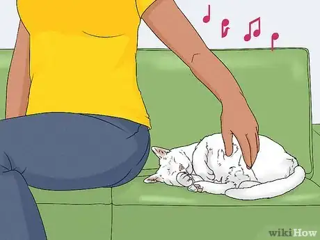 Imagen titulada Give Your Cat a Massage Step 9