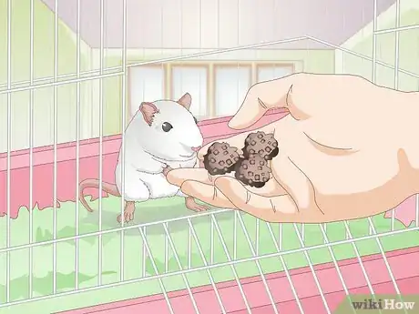 Imagen titulada Tame a Mouse Step 9
