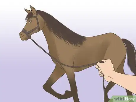Imagen titulada Get a Horse Fit Step 2