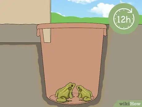 Imagen titulada Catch a Frog Step 9
