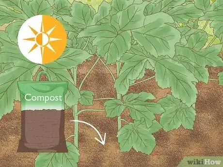 Imagen titulada Grow Okra Step 9