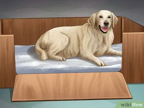 Imagen titulada Help Your Dog After Giving Birth Step 2