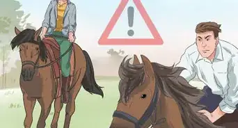 sobrevivir sobre un caballo desbocado