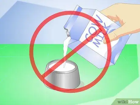 Imagen titulada Get Your Kitten to Eat Step 16