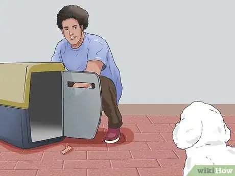 Imagen titulada Train a Bichon Frise Step 2