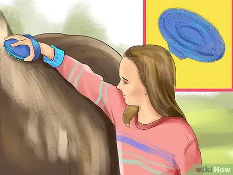 Imagen titulada Ride a Horse For the First Time (Kids) Step 3