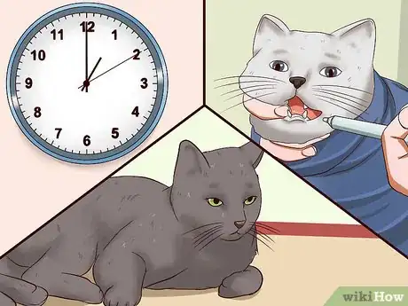 Imagen titulada Sedate a Cat Step 5