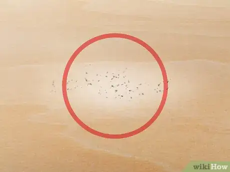 Imagen titulada Detect Fleas Step 7