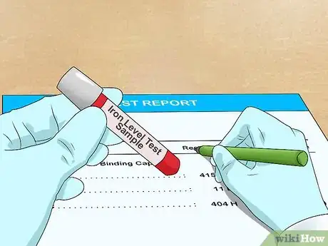 Imagen titulada Increase Ferritin Levels Step 2