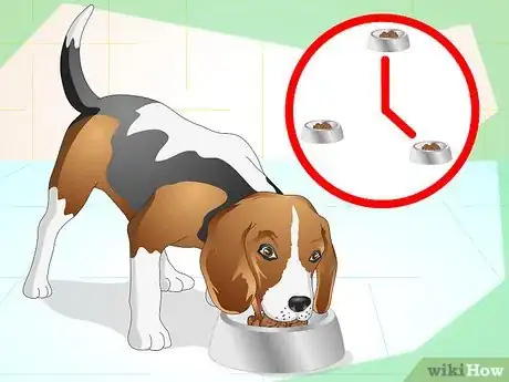 Imagen titulada Litter Train a Dog Step 12