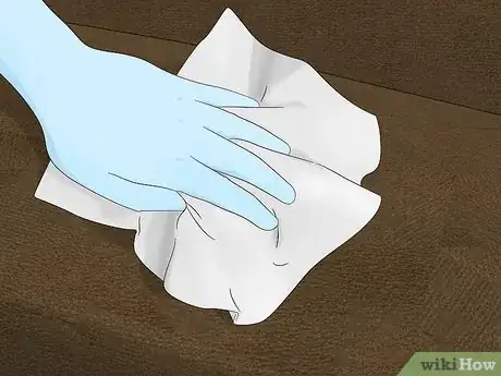 Imagen titulada Clean Pee Off a Couch Step 1