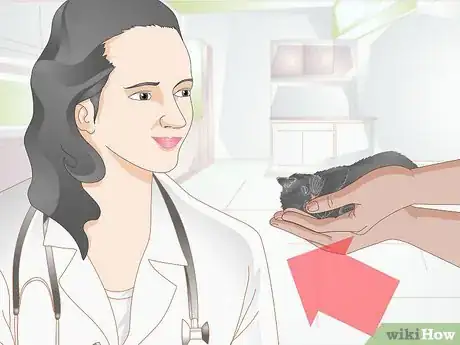 Imagen titulada Take Care of a Kitten with a Broken Leg Step 6