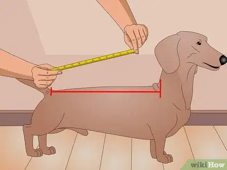 Imagen titulada Make a Dog Coat Step 2