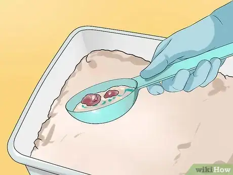 Imagen titulada Clean a Litter Box Step 3