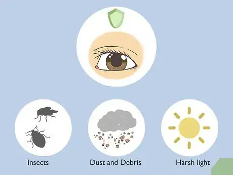 Imagen titulada Treat Droopy Eyelids Step 5