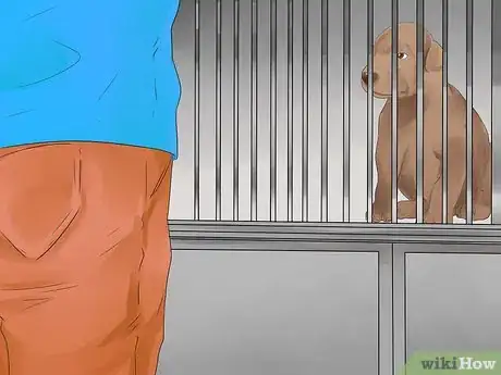 Imagen titulada Choose a Puppy Step 12