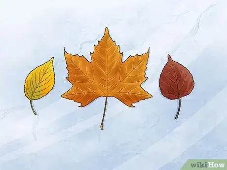 Imagen titulada Preserve Fall Leaves Step 1