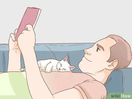 Imagen titulada Get a Kitten to Fall Asleep Step 12