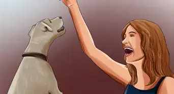 limar las uñas de tu cachorro