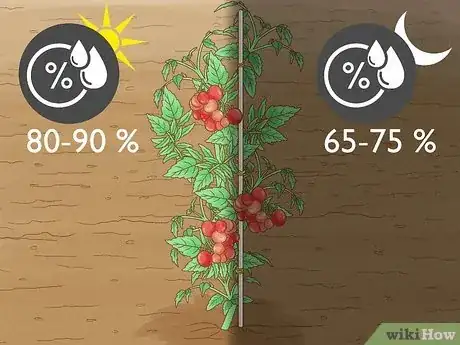 Imagen titulada Grow a Tomato Plant Step 19