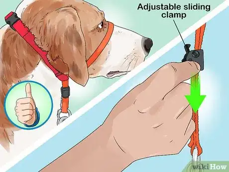 Imagen titulada Put a Gentle Leader on a Dog Step 6
